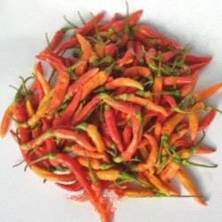 Cabai Rawit Merah 100 Gram