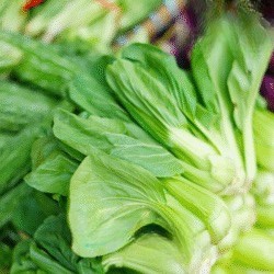 Sawi Sendok / Pakchoy 500 Gram