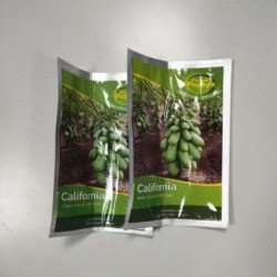 Benih bibit pepaya california 5 Gram