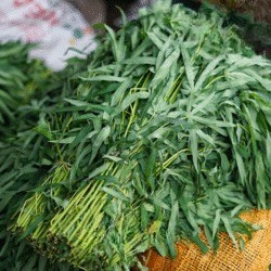 Daun Singkong Ikat Besar