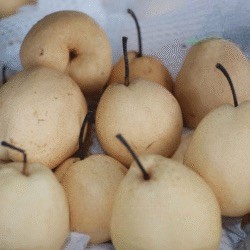 Buah Pear Sweet 1 Kg