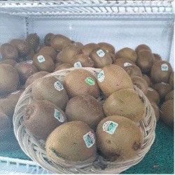 Kiwi Hijau 500 Gram