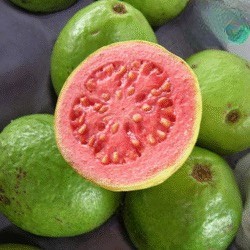 Jambu Biji Merah 1 Kg