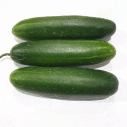 Timun Lokal Besar 1 Kg