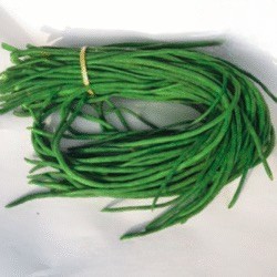 Kacang Panjang | 500 Gram