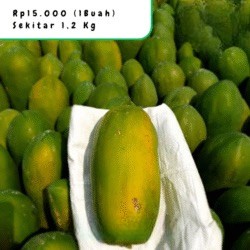 Pepaya California Organik Kualitas Premium