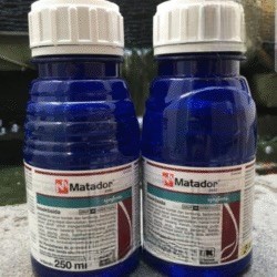 OBAT HAMA MATADOR 250 ML