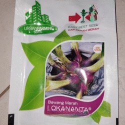 Benih bibit bawang merah lokananta cap panah merah - LOKANANTA 500 Butir