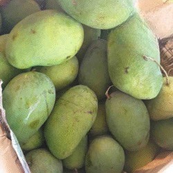 Mangga Harumanis 50KG