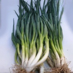 Daun Bawang 100 Gram