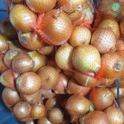 Bawang Bombay 1 Kg