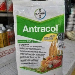 FUNGISIDA ANTRACOL 70WP 250GRAM OBAT JAMUR PADA TANAMAN