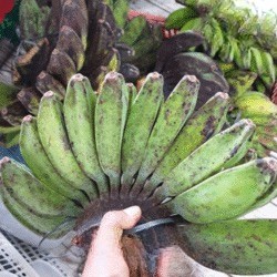 Pisang Kepok Kuning 1 Sisir