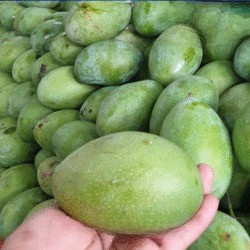 Mangga Manalagi | 1 Kg