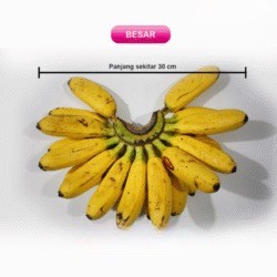 Pisang Mas Kirana Besar 1 Sisir