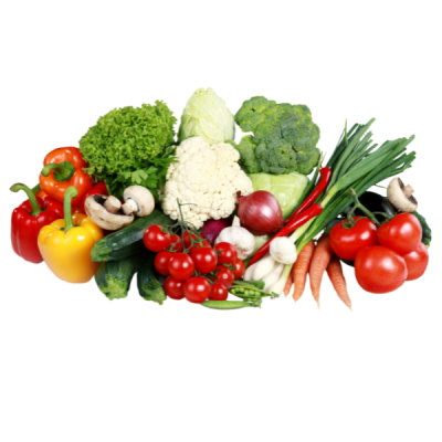 Desain tanpa judul (6)