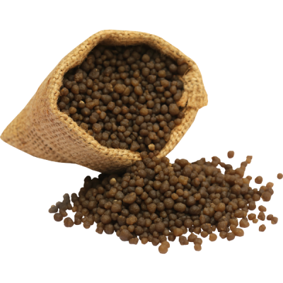 Desain tanpa judul (7)