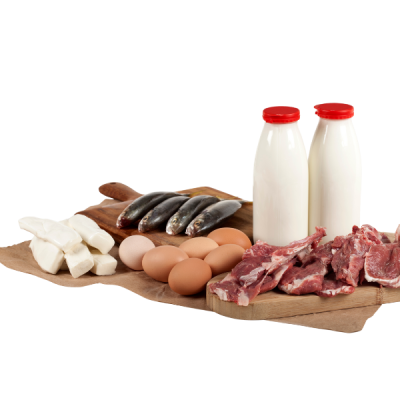 Desain tanpa judul (9)